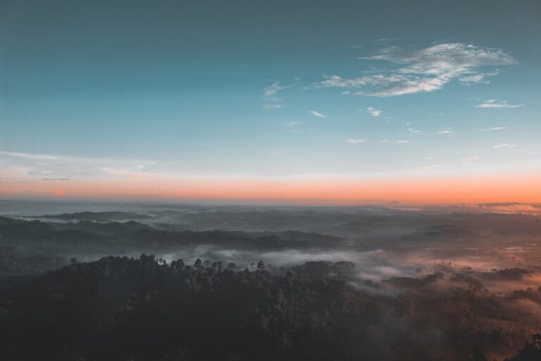 Accueil bird s eye view photography of green forest 1208379.jpg